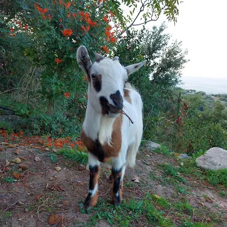 Terre Di Bed & Breakfast Tusa